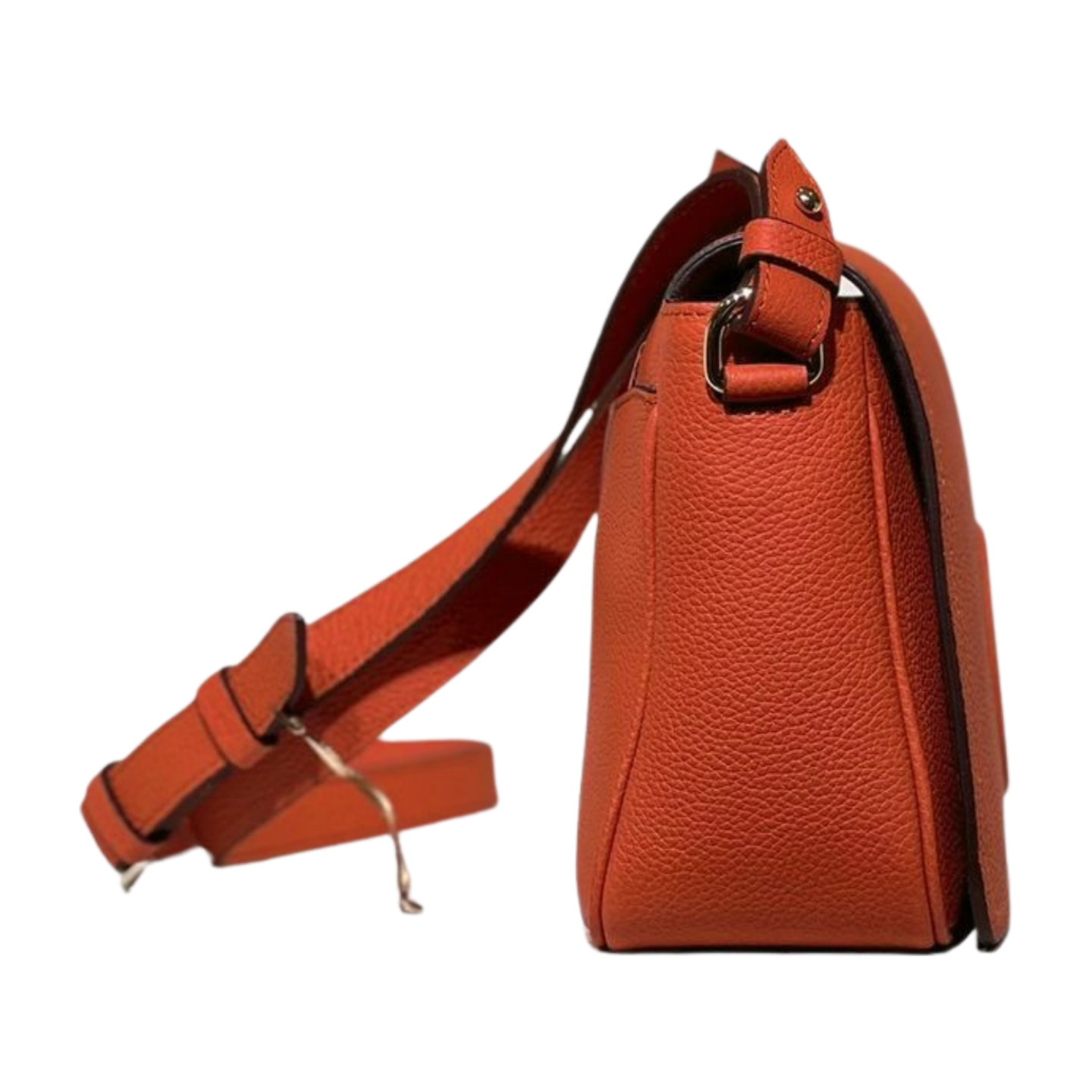 white-background-zip-img-0050