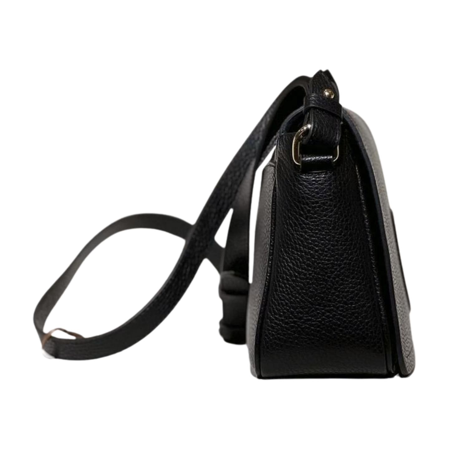 white-background-zip-img-0064